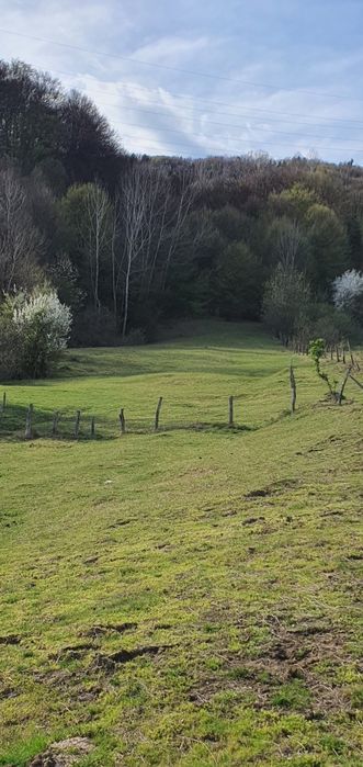 Teren intravilan Closani, Gorj,8674 mp pensiune/ casa vacanta