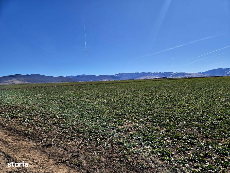 Teren extravilan / Prejmer, Brașov /  Potențial pentru dezvoltare!