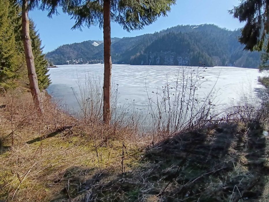 Teren  cu IESIRE LA LAC Colibita 10 -15 arii .