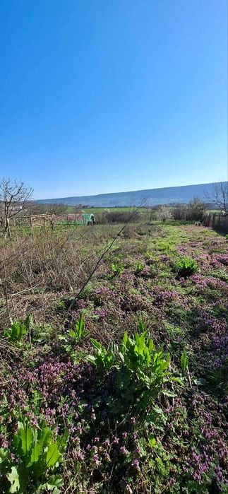 Продава се Парцел в с. Рогачево, Област Добрич - 930 кв.м за 31 €/кв.м - Снимка #3