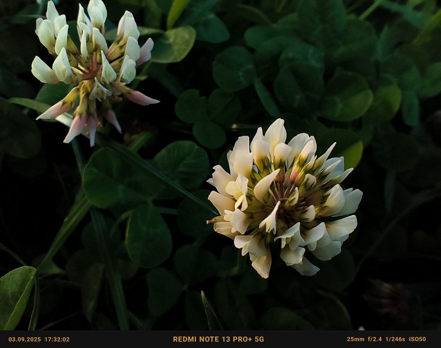 Redmi Note 13 Pro Plus 512/12гб черного цвета