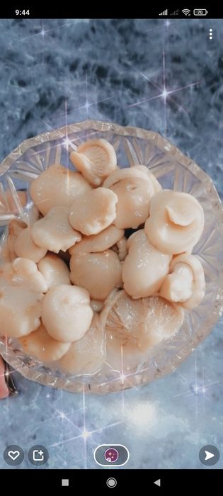 Белый горный гриб 3500