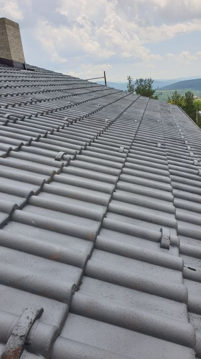 Боядисване на Покриви и Керемиди