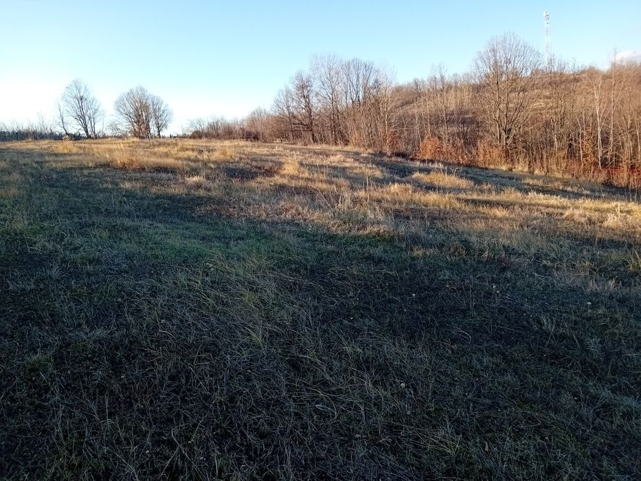 Teren extravilan de vânzare 8320mp com Roșiile jud Vâlcea