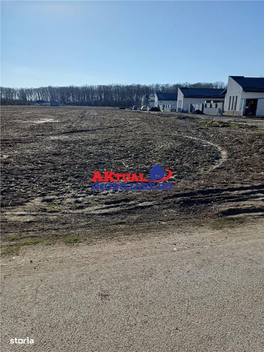 Vanzare Teren-8100mp-Domnesti -Teghes