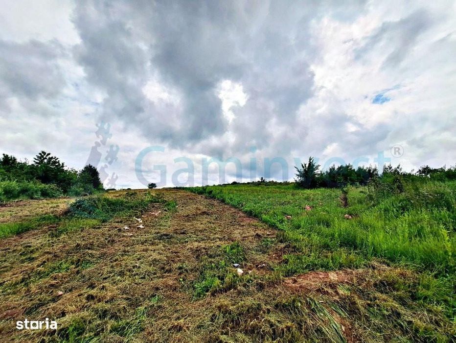 Teren intravilan 2000 mp de vanzare, Sanmartin, Bihor, Gaminvest,A2402