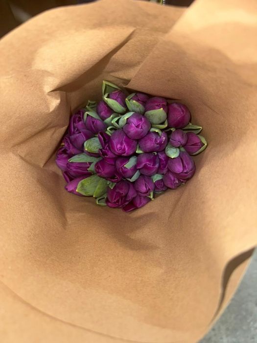 Тюльпаны разных сортов оптом и розницу