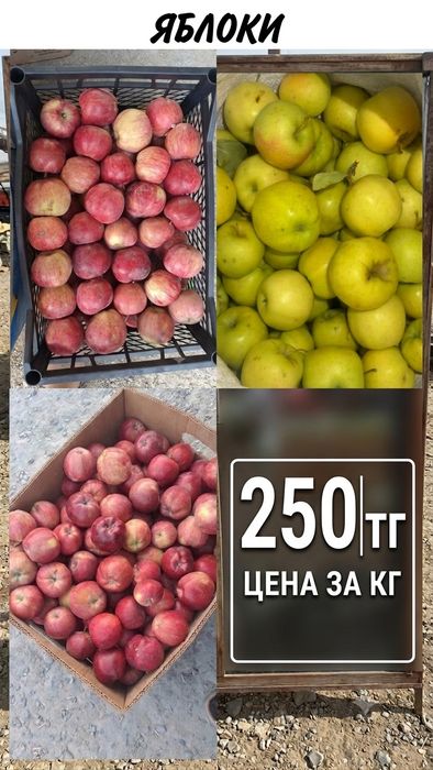 Яблоки местные сочные