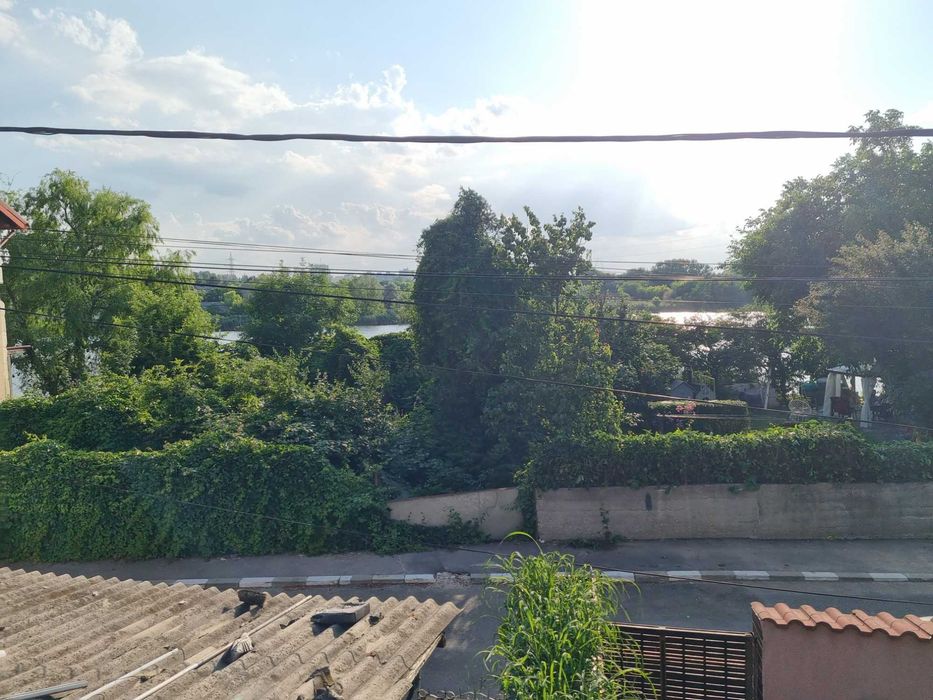 Toaletare defrisare copaci