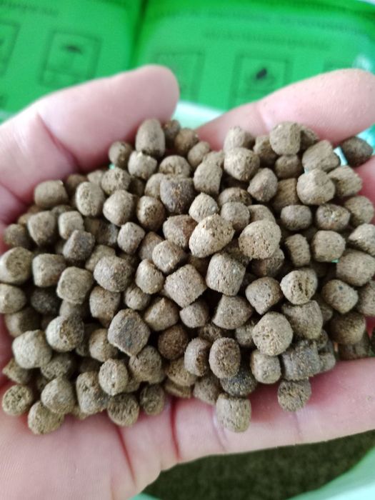 Корм Haida 555 для карпов – быстрый рост и качество напрямую с завода