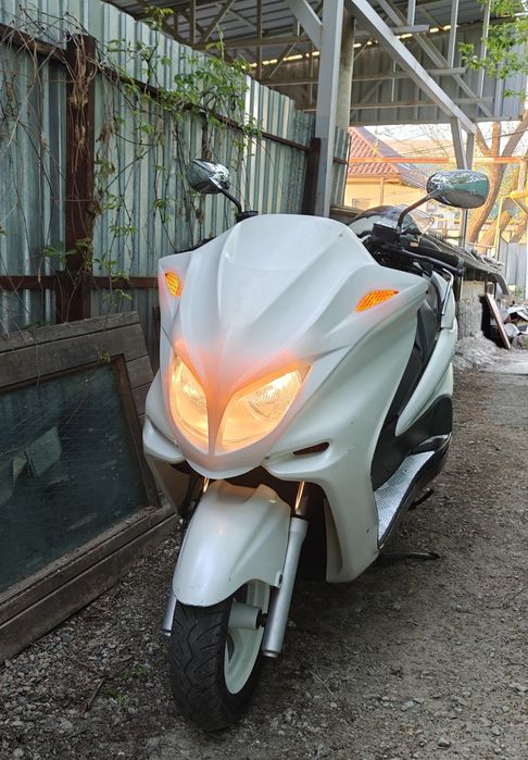 Yamaha Majesty 250