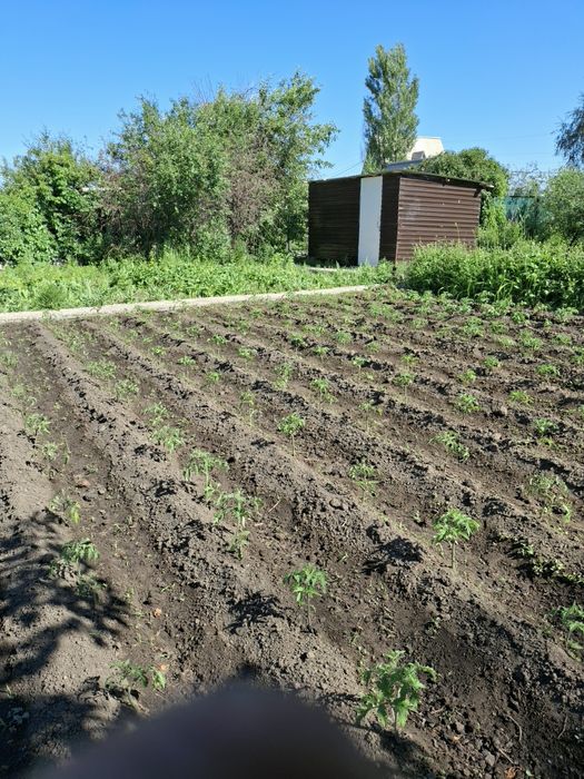 Продам дачу ск локомотивное 10