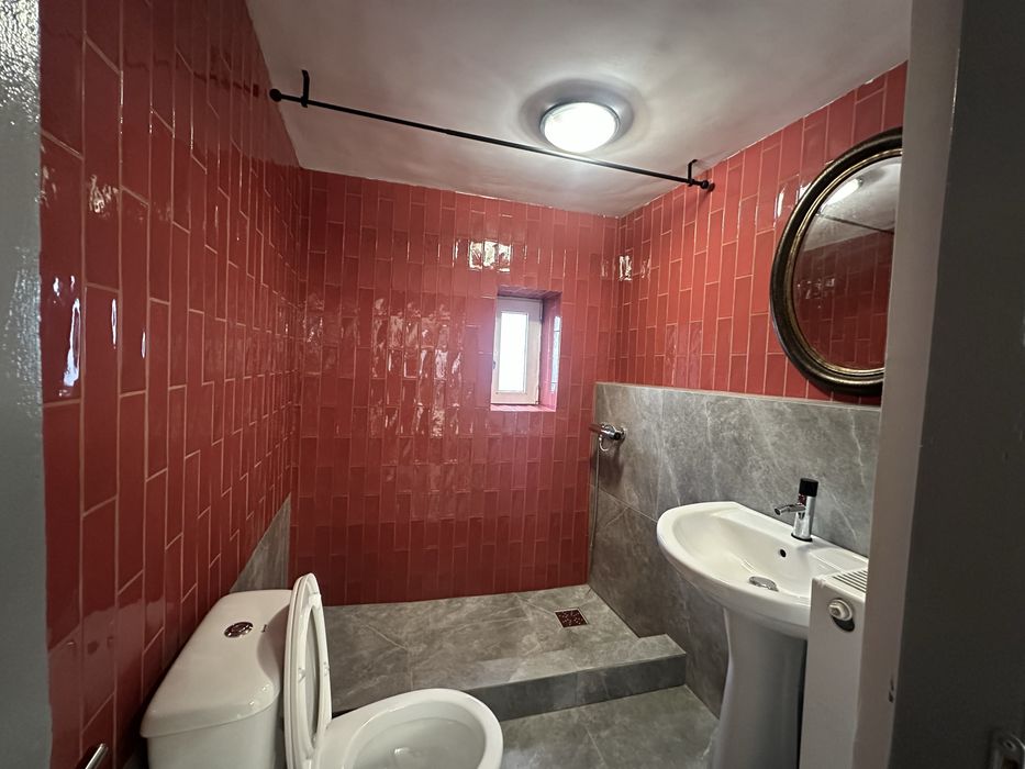 Garsoniera pet friendly, USAMV