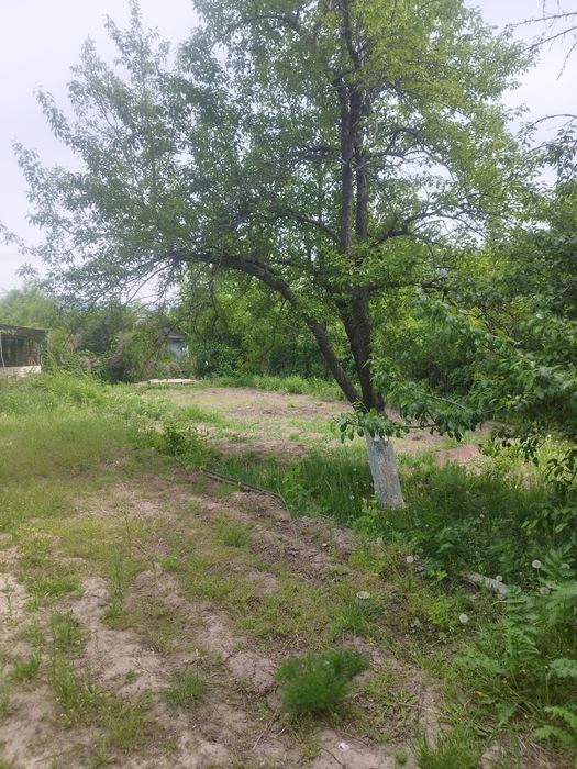 Продам  дачу в гораде текели .