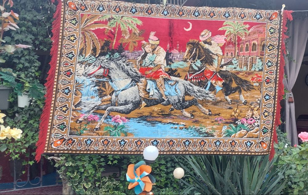 Carpeta.Rapirea din serai ,