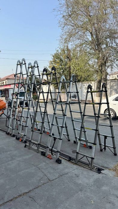 Narvon (леснитсы)