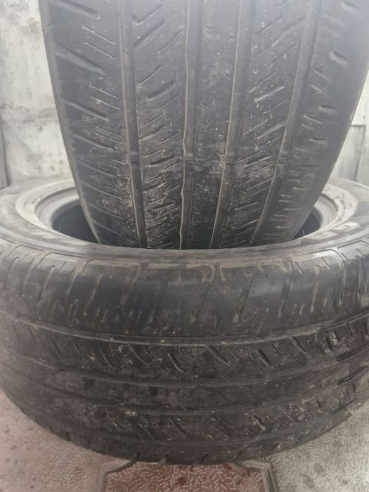 Продам резину DUNLOP