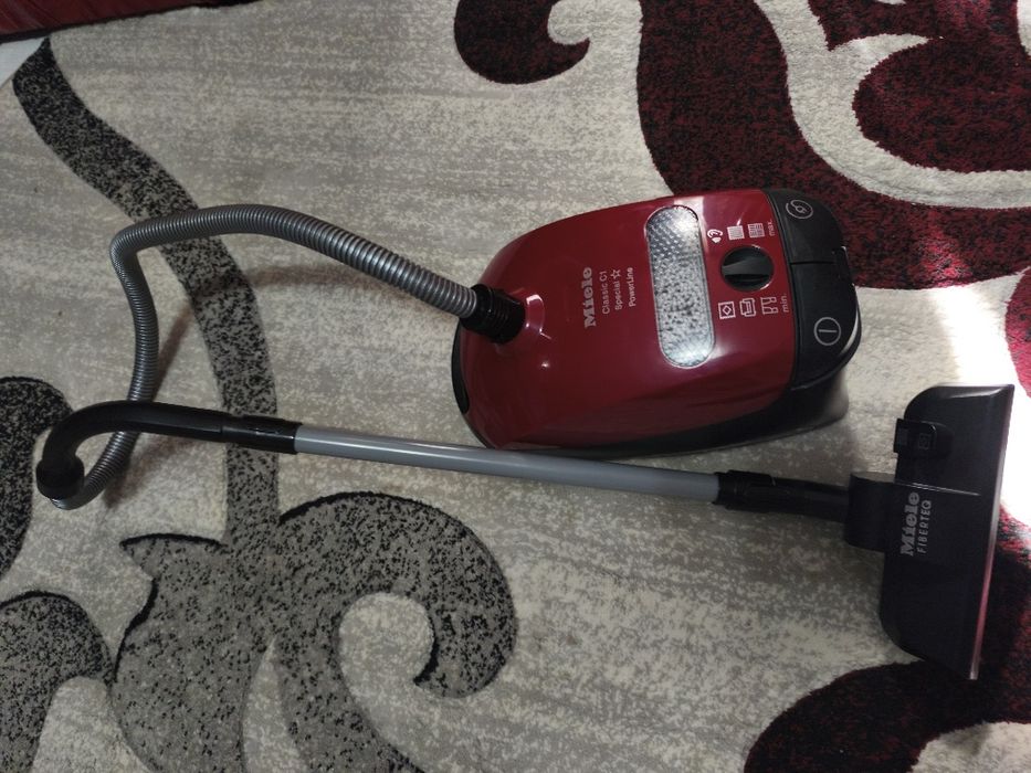 Aspirator de jucărie miele