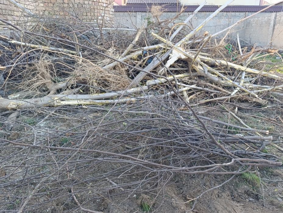 Отын тегін. Самовывоз. Артып берем