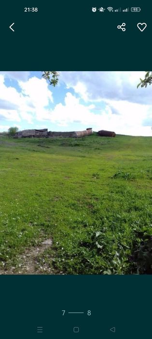 Продам сельское хозяйство