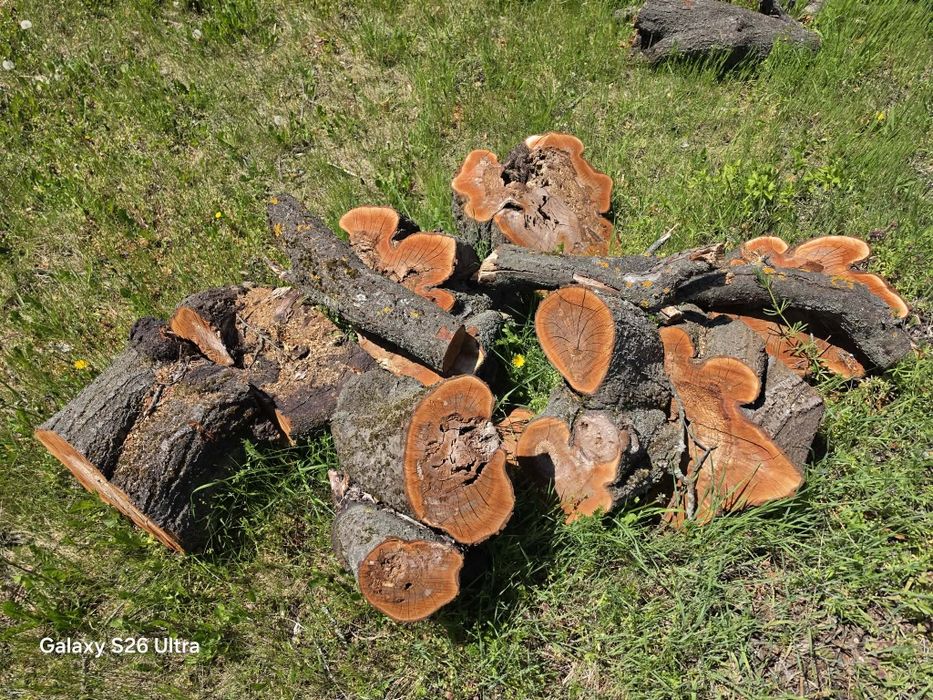 Дърва да огрев-градина