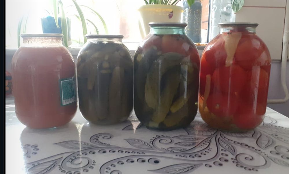 Продам домашнюю солонину