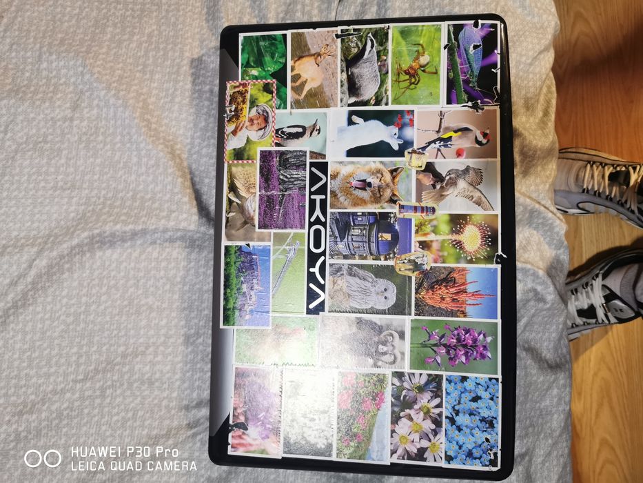 Laptop Medion Akoya 17.3"