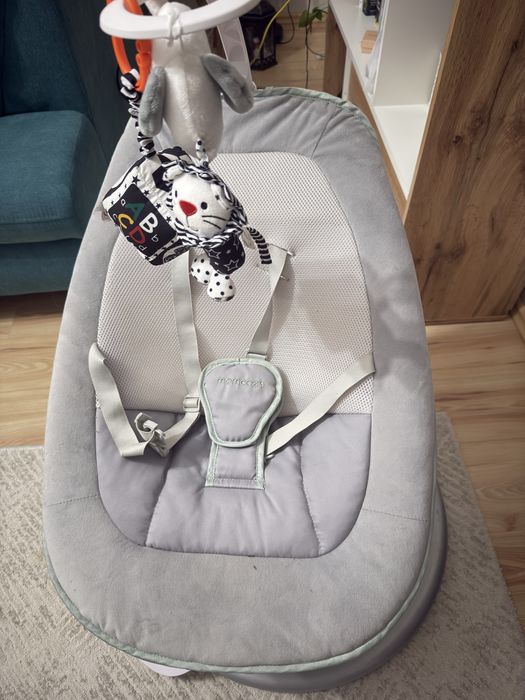 Leagan electric Momcozy Cocosway