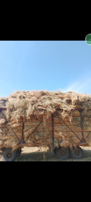 Прицеп ПТС12 сеновозка