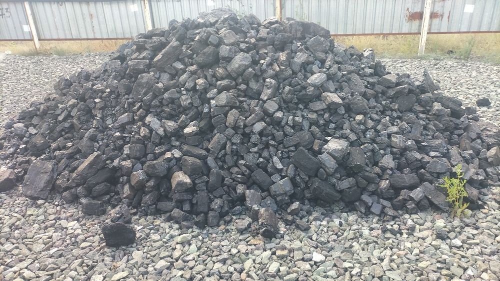 Уголь Шубаркол. Орех, Сорт