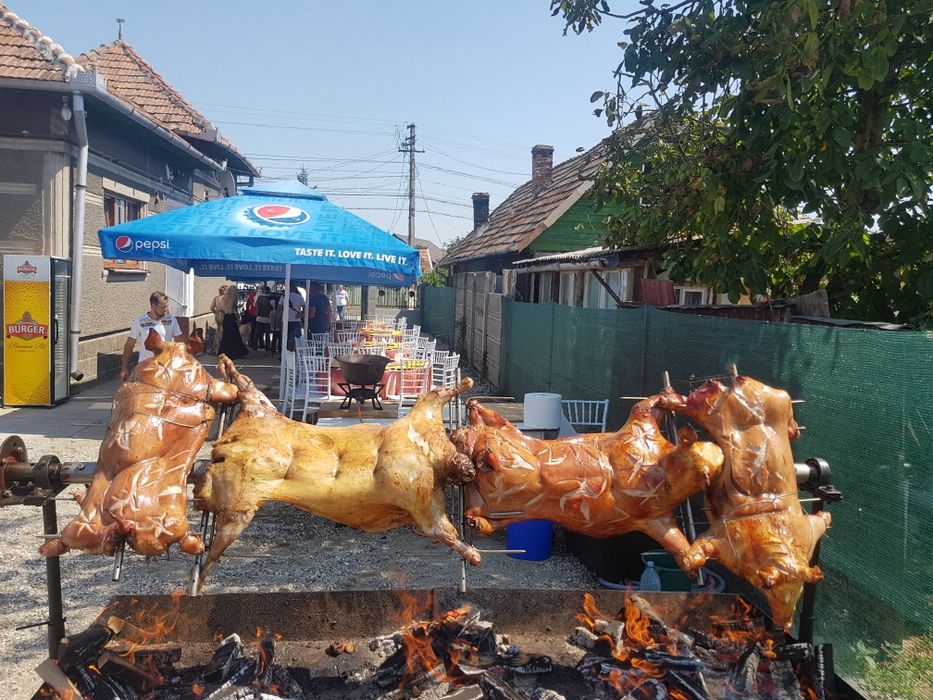 Protap rotisor animale - vitel purcei miei nunti botezuri evenimente