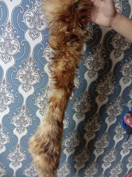 Мех натуральный .