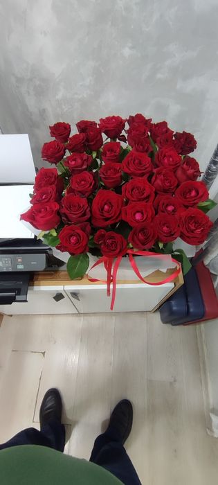 Живые цветы для дома