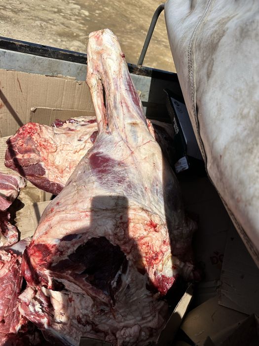 говядина .кара мал.