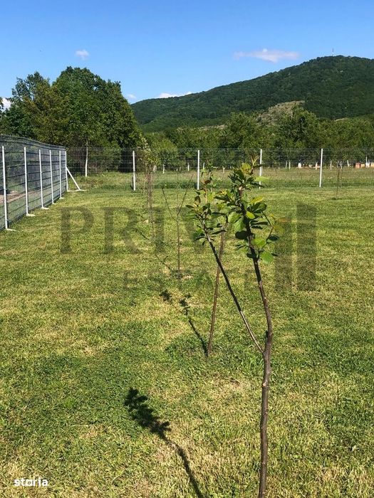 Teren intravilan casa de vacanță, 800, 2 fs, Surduc