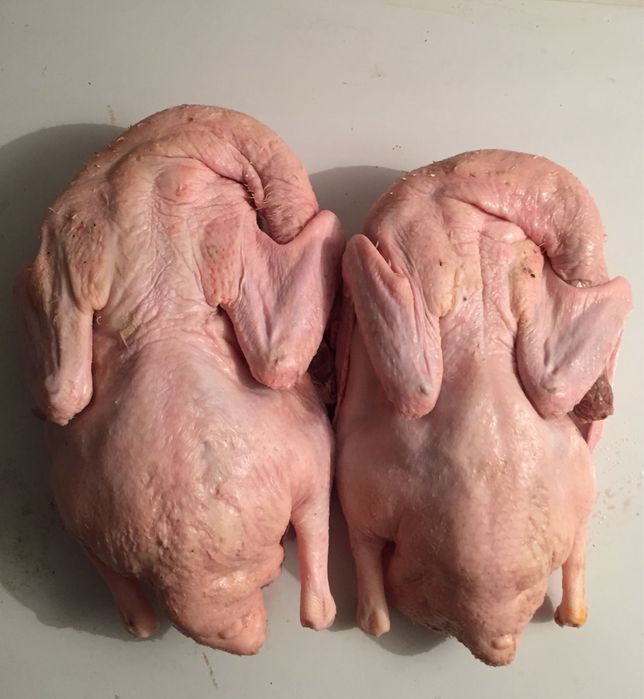 Мясо домашней утки .