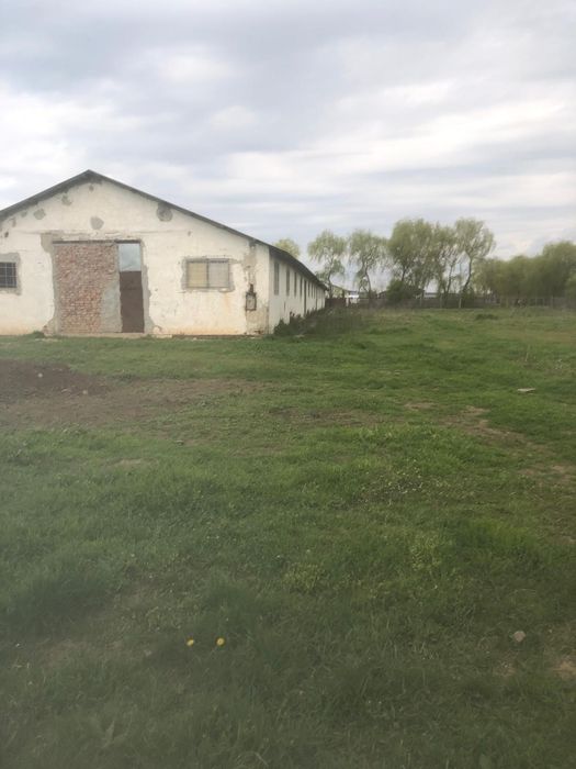 Hala de vanzare Slobozia Conachi