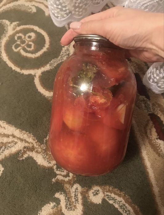 Салонина домашняя