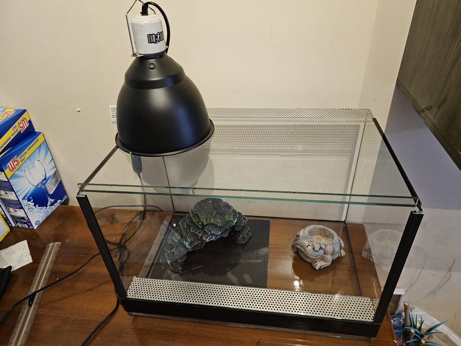 Лампа за влечуги