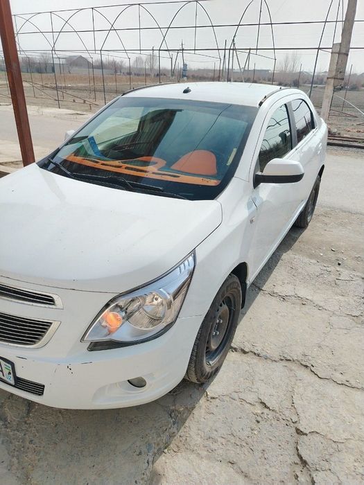 Prostaya profane COBALT LT