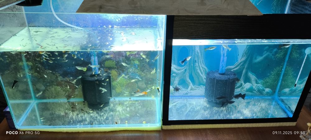 Продаются аквариумы