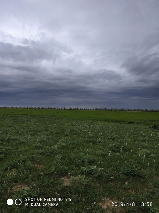 Продам участок 1га,