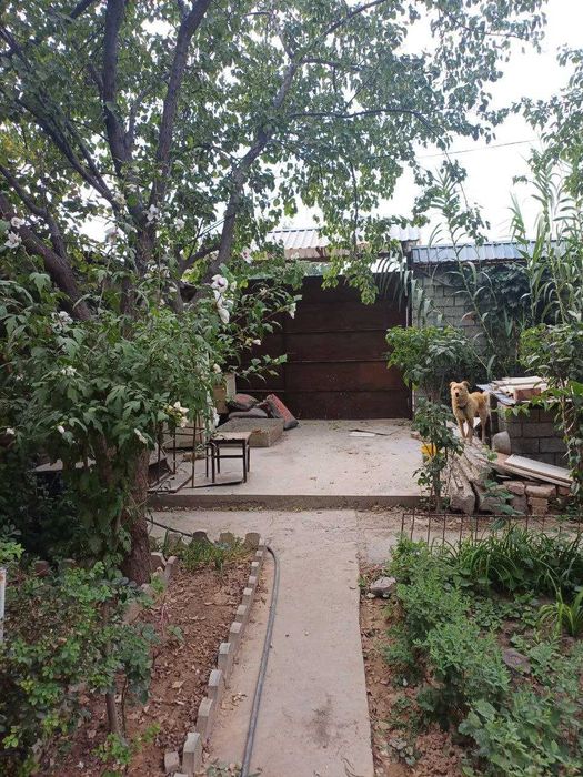 Земельный участок Яшнабад, 6 соток, квадратной формы=