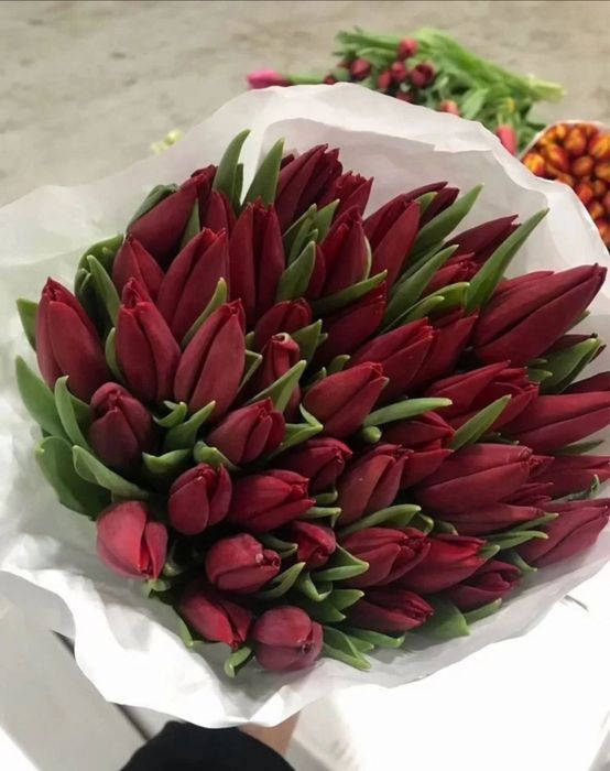 •Тюльпаны •Цветы бесплатная ДОСТАВКА