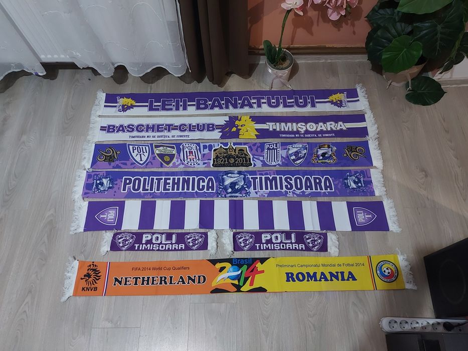 Fulare Poli Timisoara si Romania-Olanda 2014
