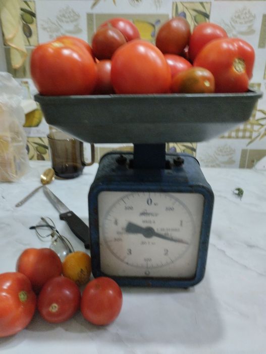 Огурчики,помидорки