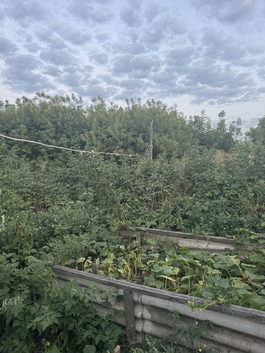 Продам дом , продается дом в городе Степняк