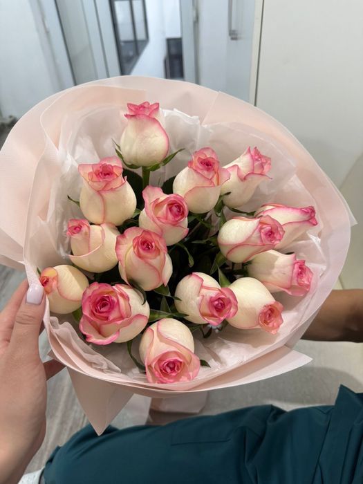 Голандский роза, 15 штук