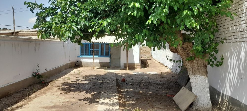 Termez Shaxrida uchastka