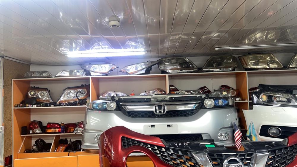 Одиссей мини морда